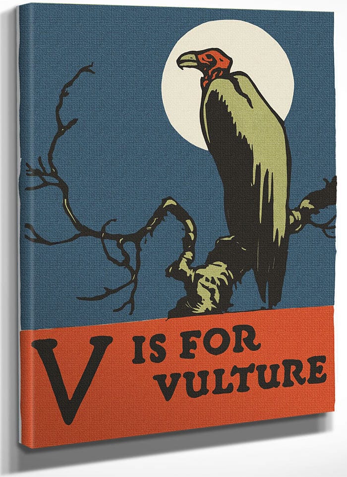 Alphabet V Is For Vulture By C.B. Falls