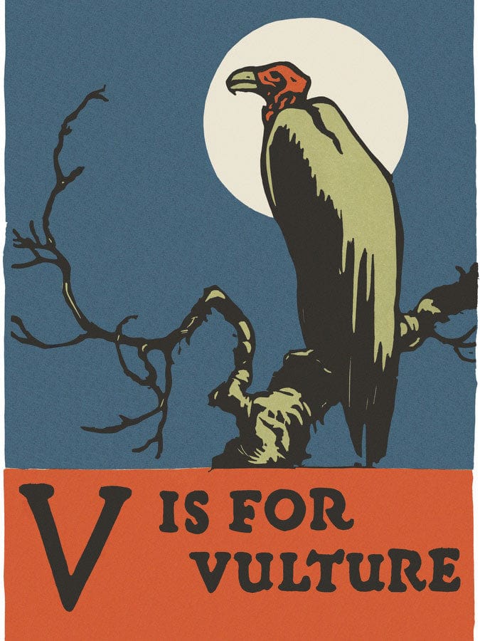 Alphabet V Is For Vulture By C.B. Falls - Image 5