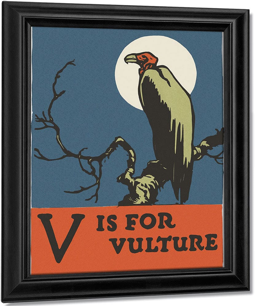 Alphabet V Is For Vulture By C.B. Falls - Image 6