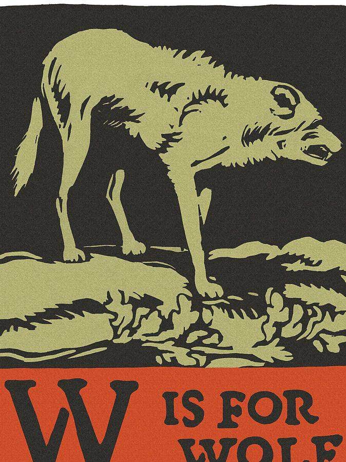 Alphabet W Is For Wolf By C.B. Falls - Image 5