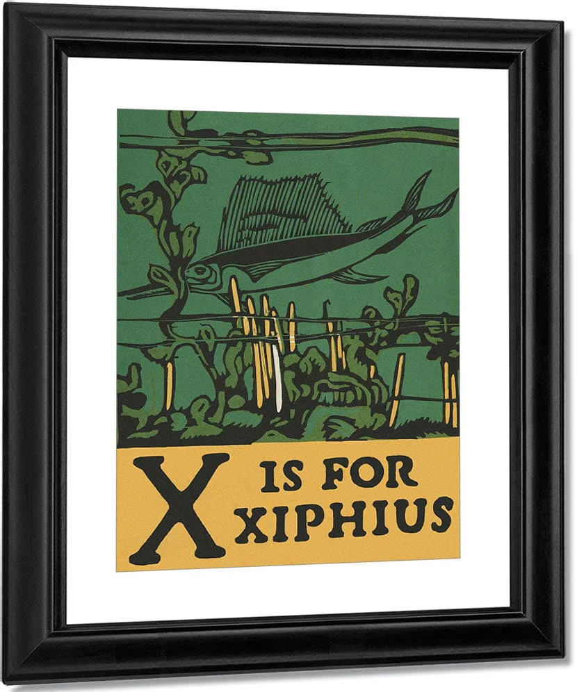 Alphabet X Is For Xiphius By C.B. Falls - Image 2