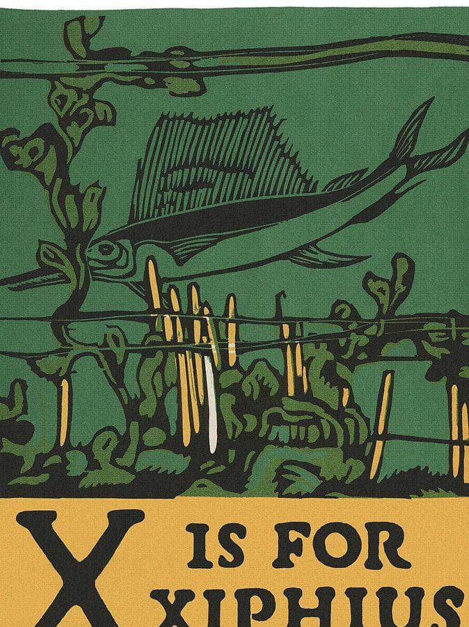 Alphabet X Is For Xiphius By C.B. Falls - Image 5