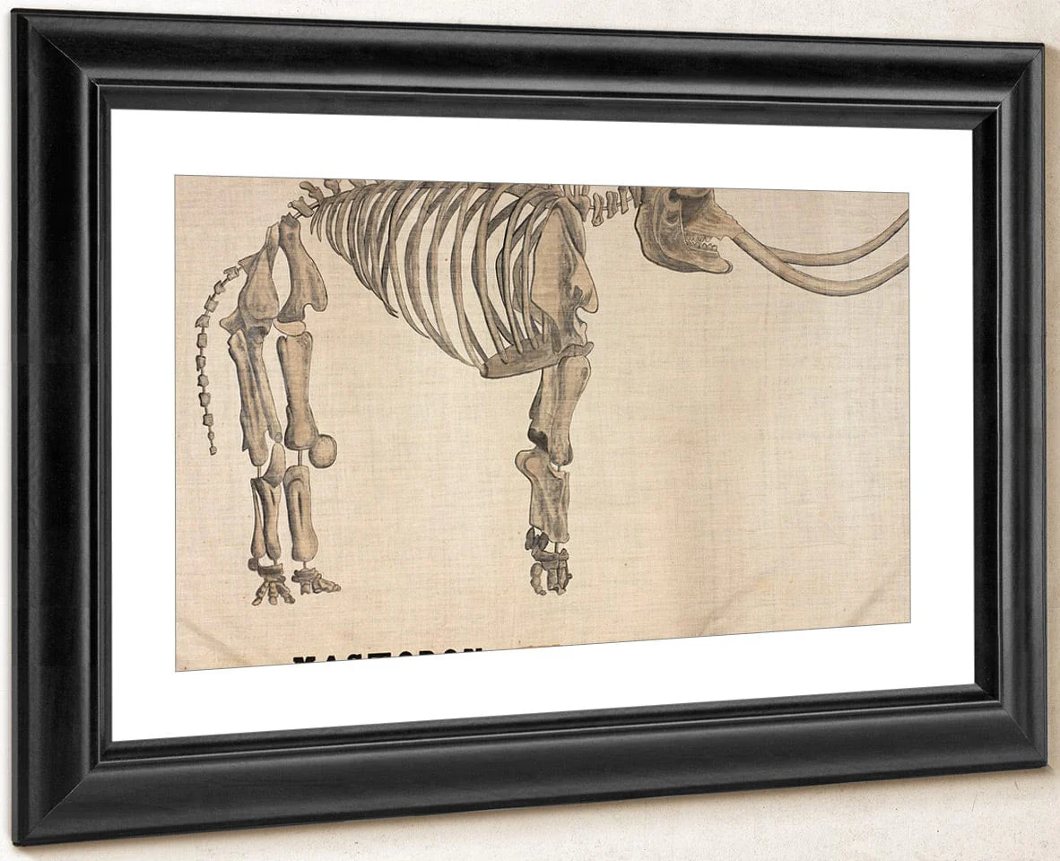 Amherst Orra Wh Mastodon By Orra White Hitchcock - Image 4