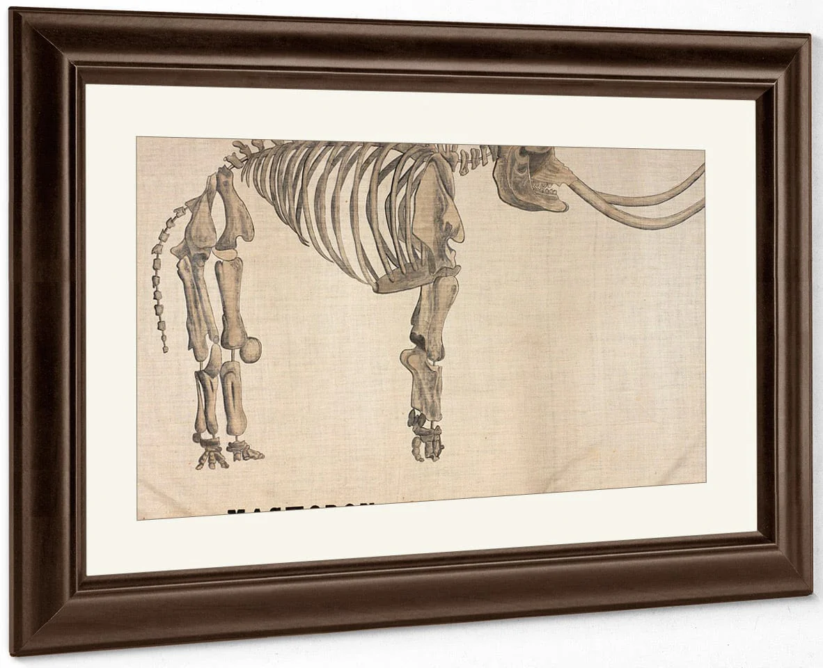 Amherst Orra Wh Mastodon By Orra White Hitchcock - Image 5