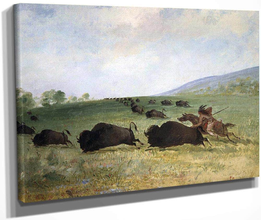 An Osage Indian Lancing A Buffalo By George Catlin
