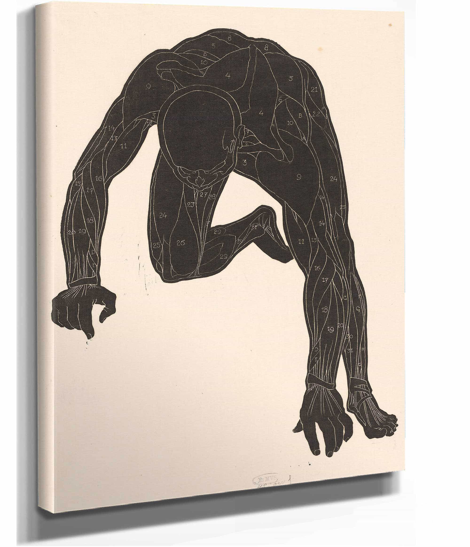 Anatomical Study Of The Neck Arm And Leg Muscles Of A Man In Silhouette by Reijer Stolk - Image 2
