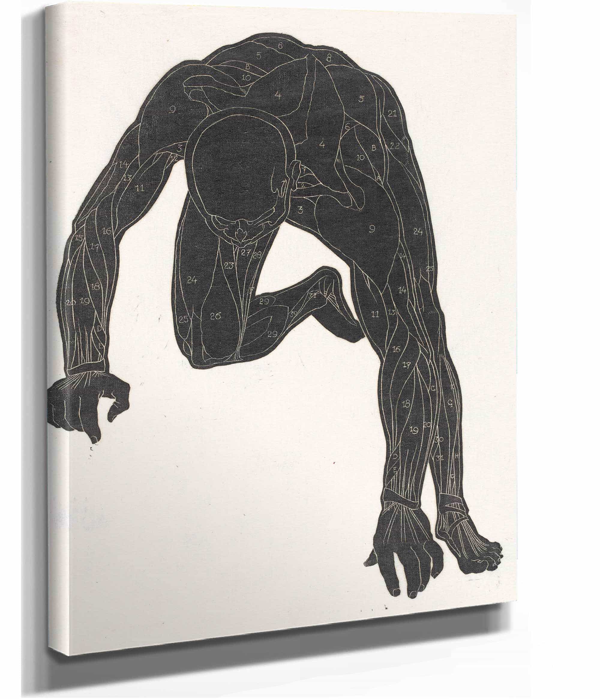 Anatomische Studie Van De Hals Arm En Beenspieren Van Een Man In Silhouet by Reijer Stolk - Image 2