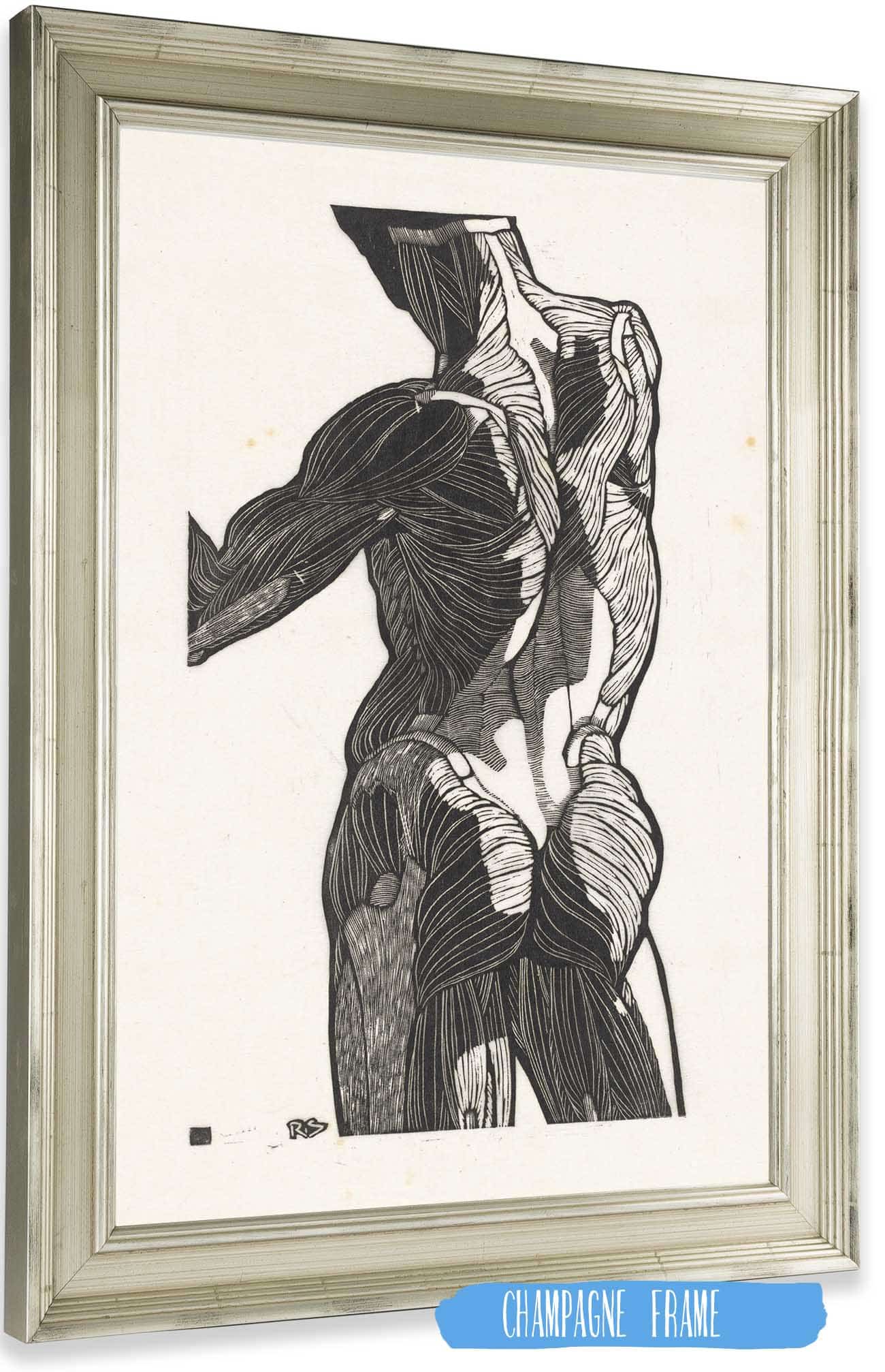 Anatomische Studie Van De Rug En Bilspieren Van Een Man by Reijer Stolk
