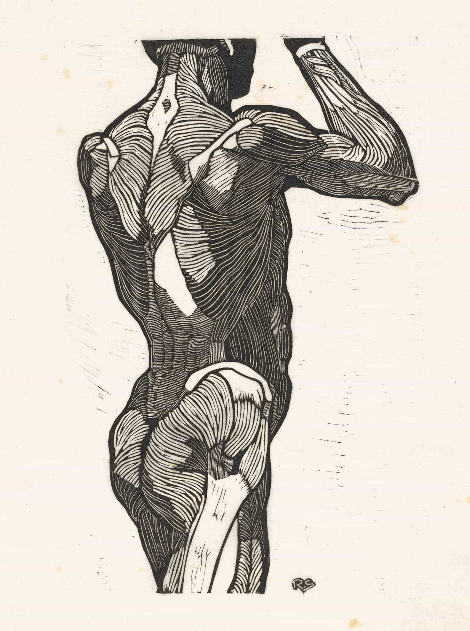 Anatomische Studie Van De Rug En Bilspieren Van Een Man by Reijer Stolk - Image 2