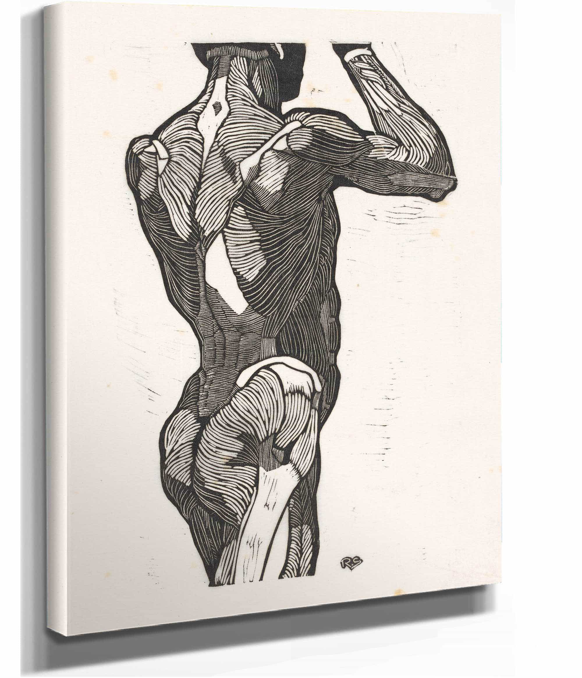 Anatomische Studie Van De Rug En Bilspieren Van Een Man by Reijer Stolk - Image 3