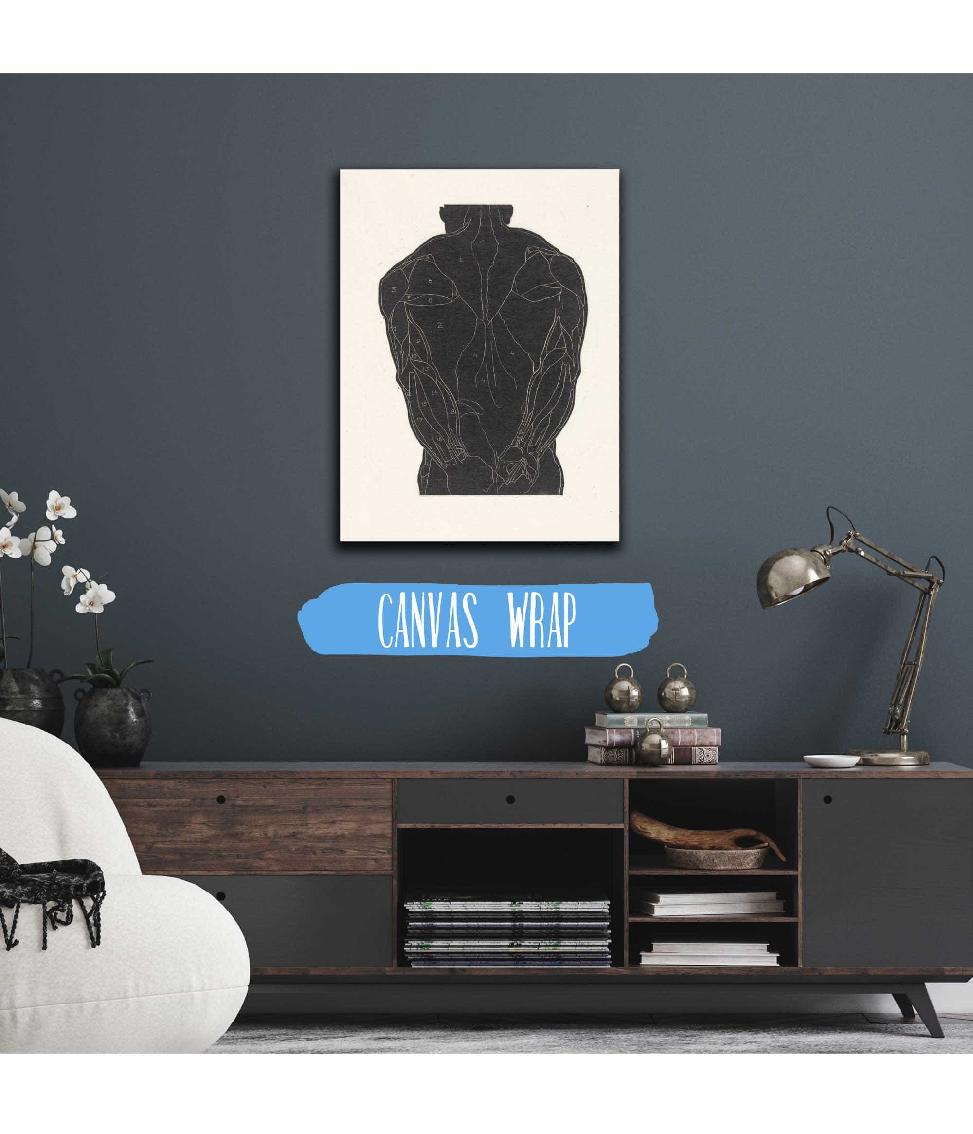 Anatomische Studie Van De Rugspieren Van Een Man In Silhouet by Reijer Stolk - Image 3
