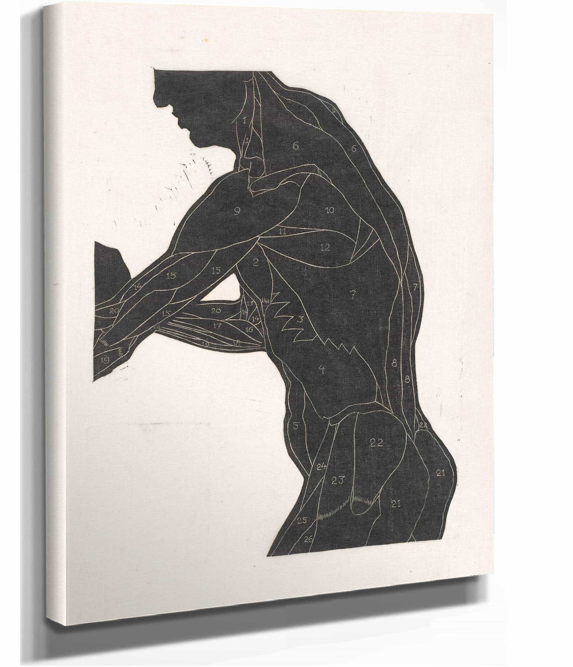 Anatomische Studie Van De Zij En Armspieren Van Een Man In Silhouet by Reijer Stolk - Image 2