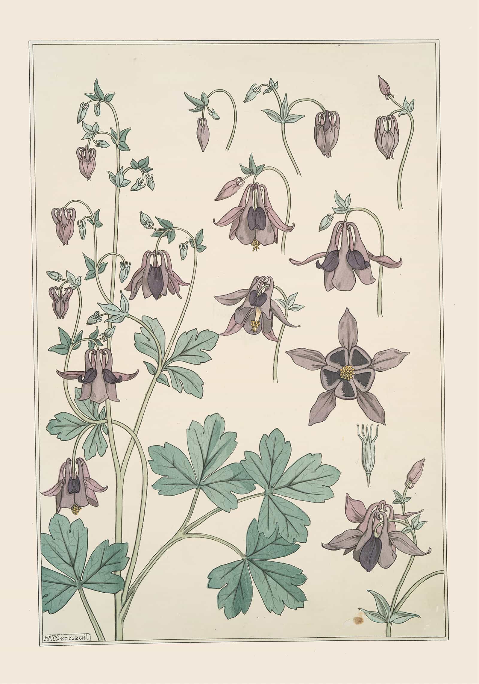 Ancolie by Maurice Pillard Verneuil - Image 4