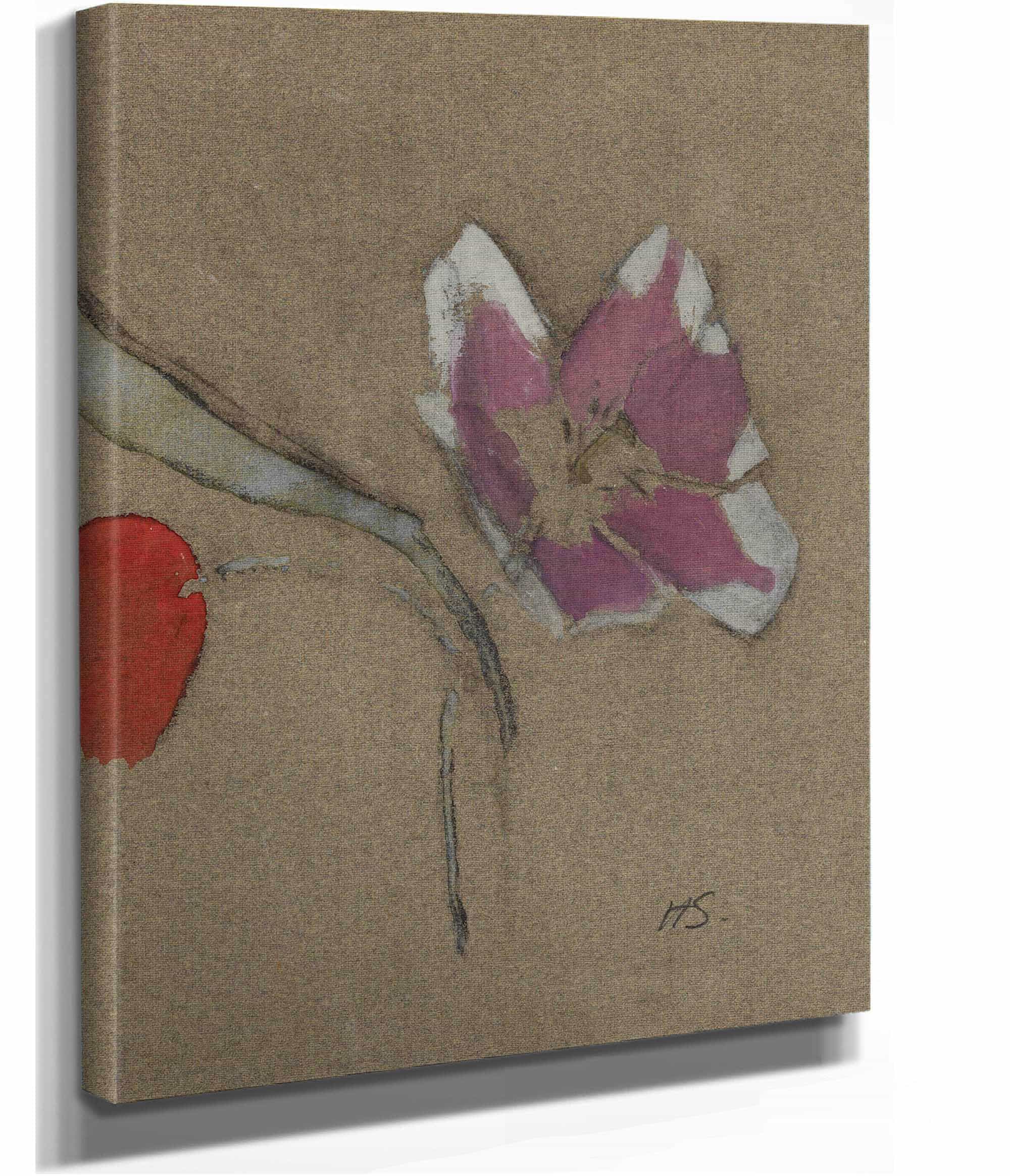 Anemone by Helene Schjerfbeck - Image 2