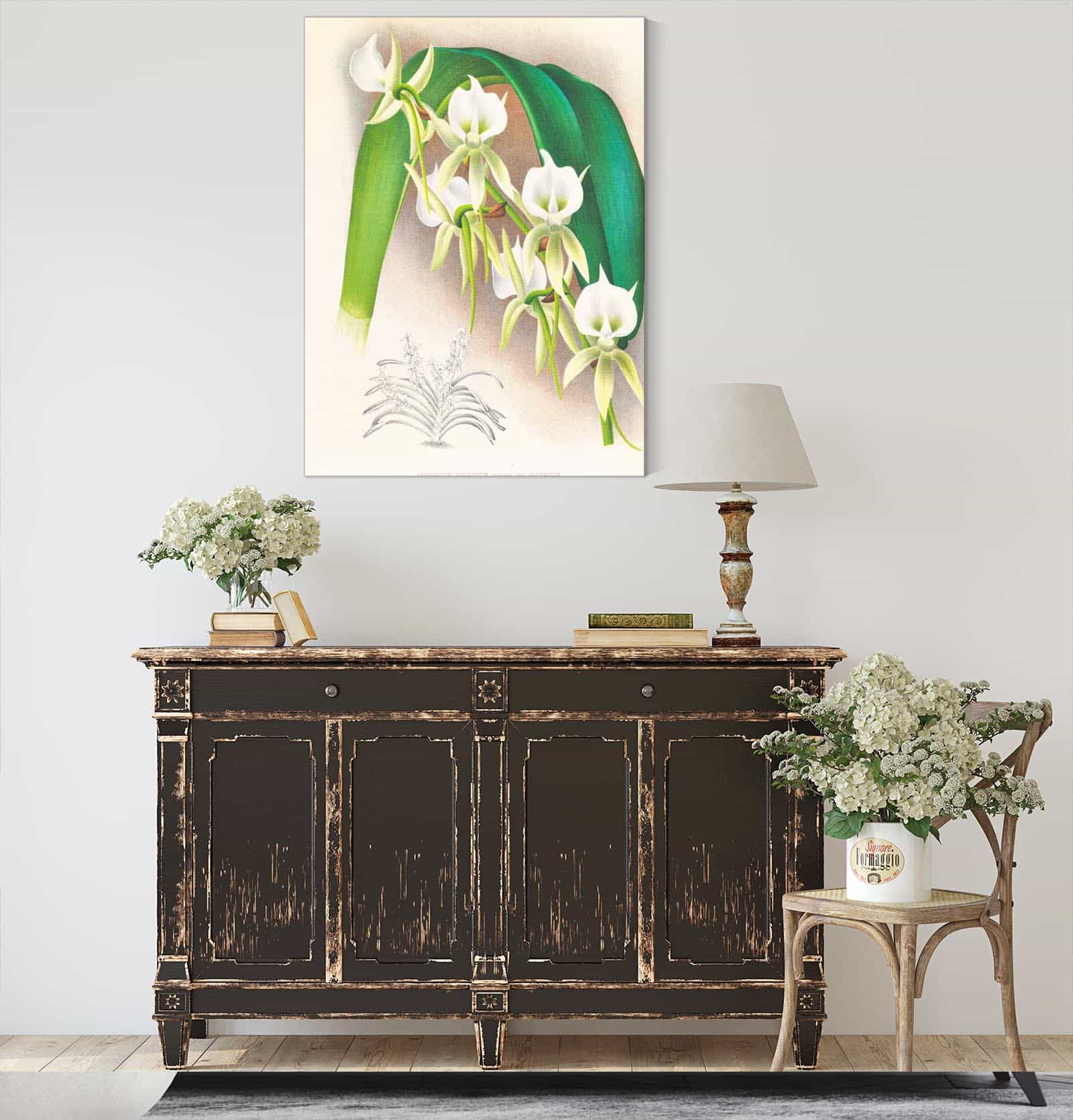 Angraecum Eburneum Var Superbum by Jean Jules Linden - Image 4