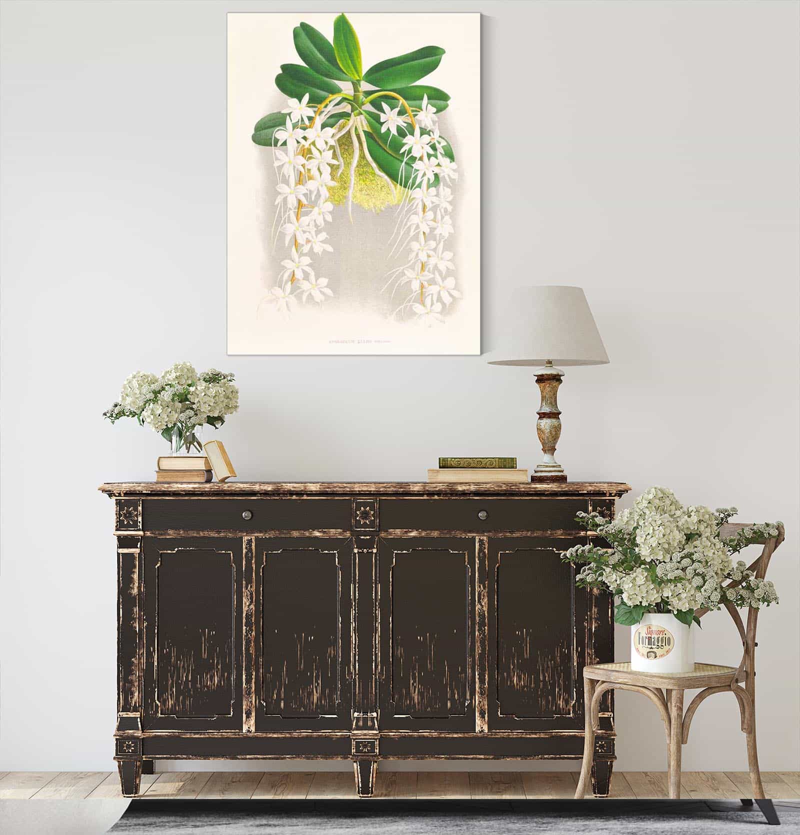 Angraecum Ellisi by Jean Jules Linden - Image 4
