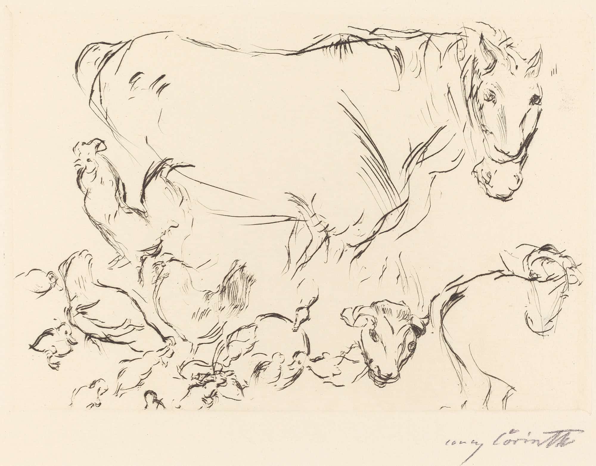 Animal Studies Verschiedene Tierstudien by Lovis Corinth - Image 2