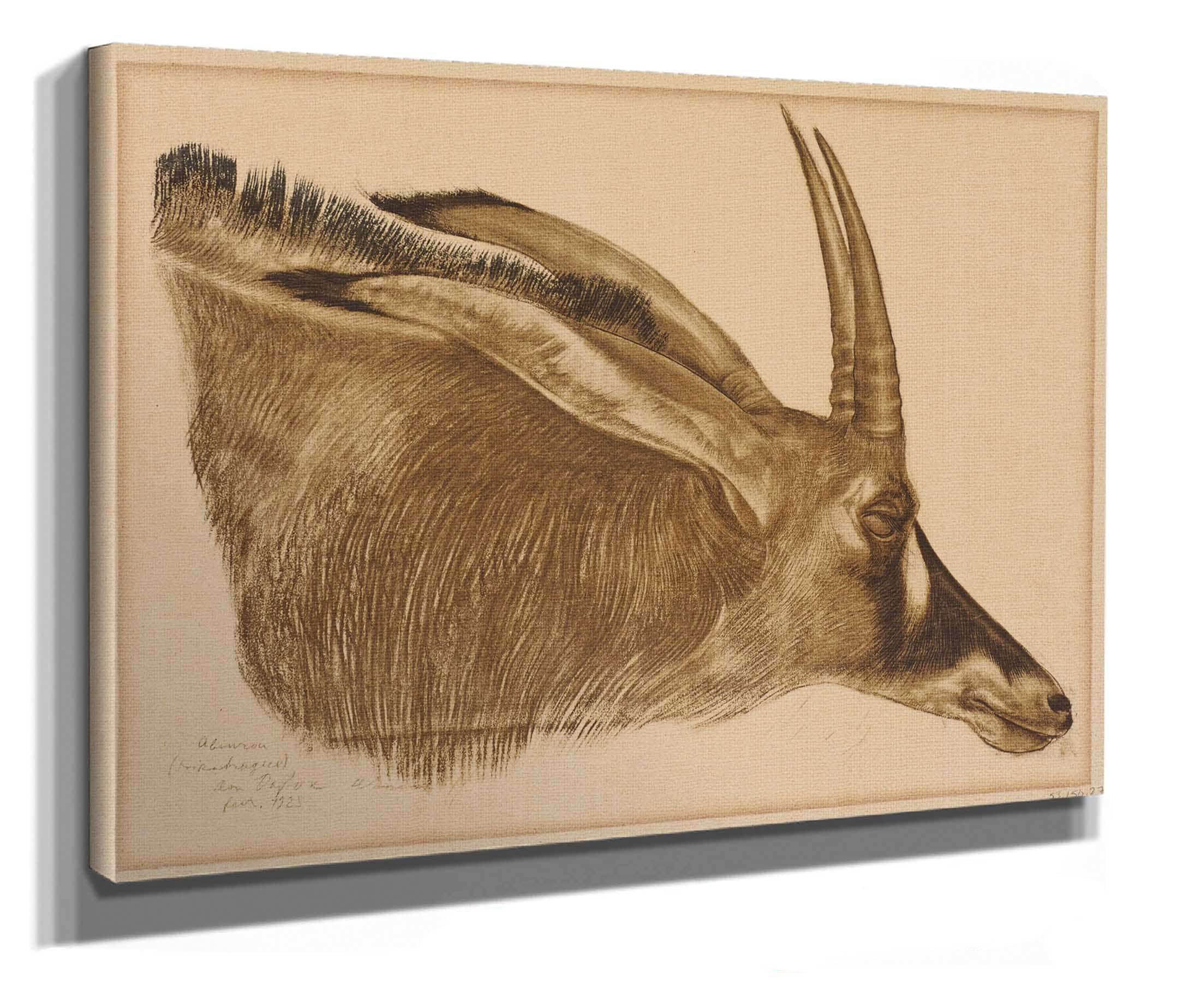 Antilope Hippotrague by Alexander Evgenievich Yakovlev - Image 2
