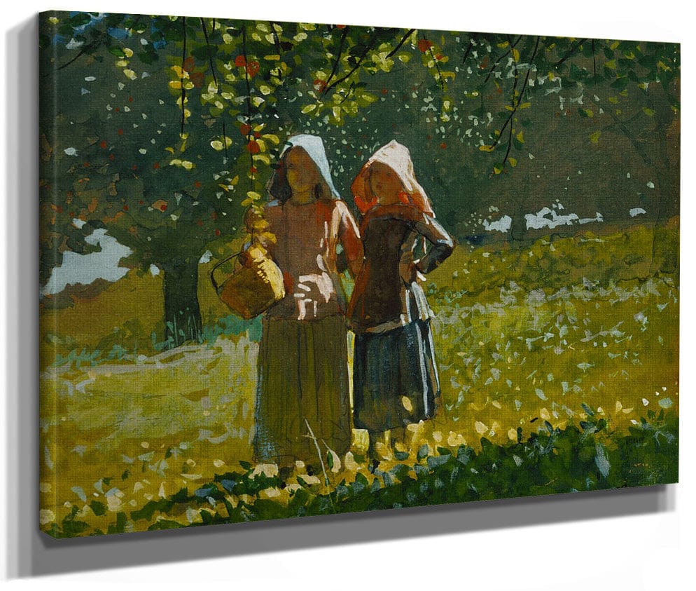 Apple Picking By Winslow Homer