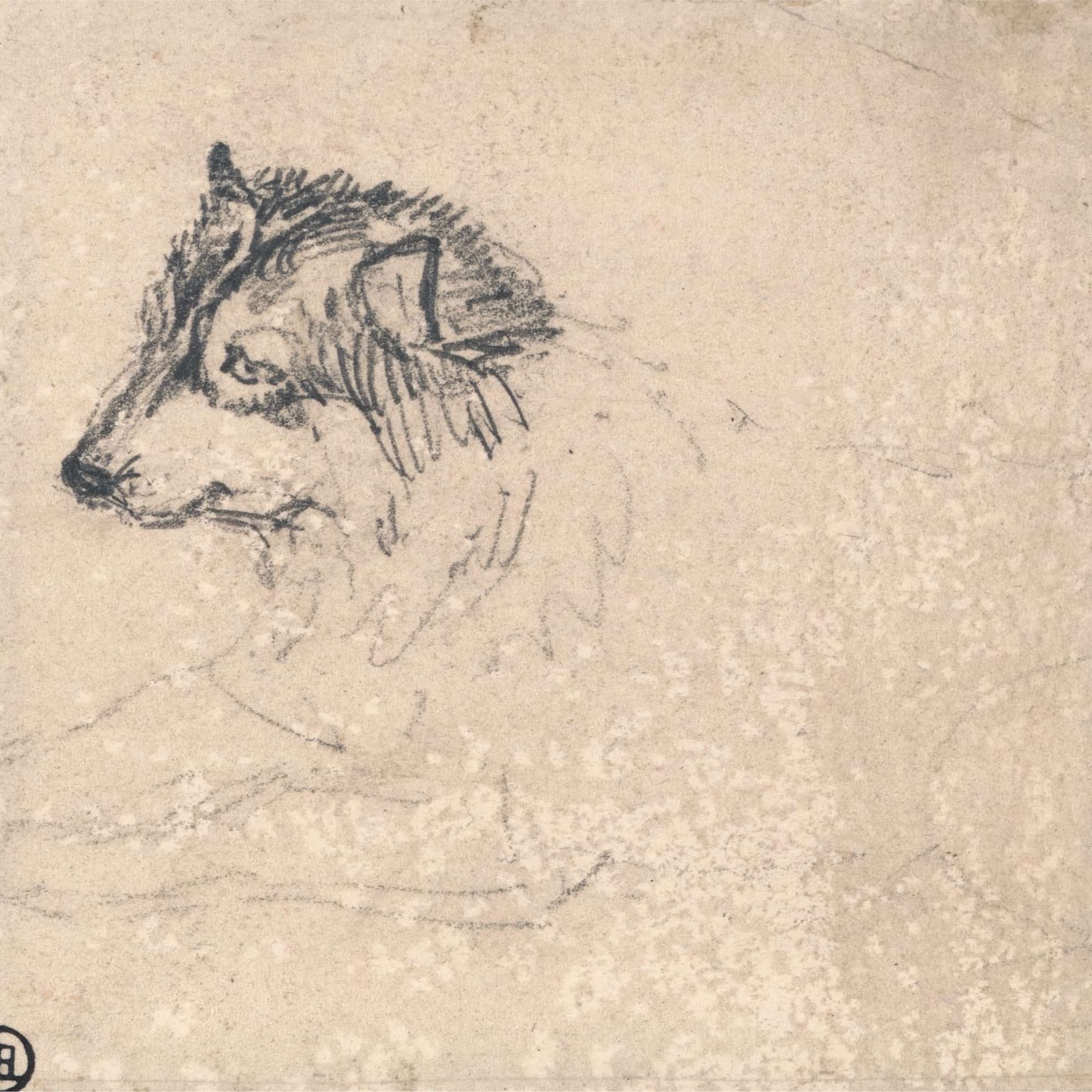 Arctic Dog Facing Left by James Ward - Image 4