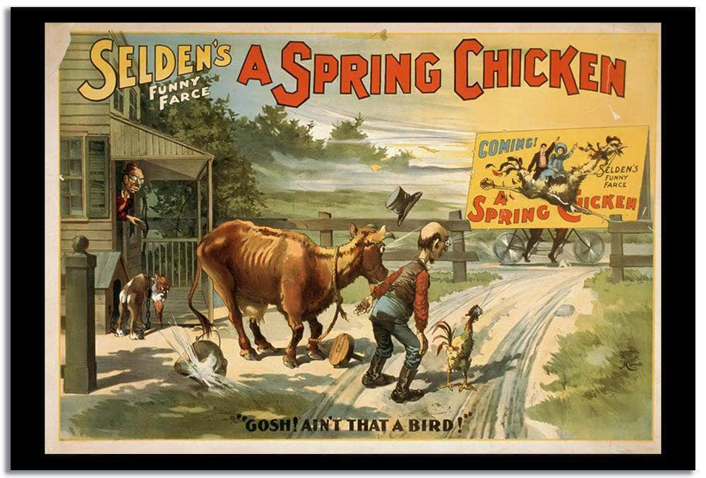 A Spring Chicken Vintage Poster - Image 2
