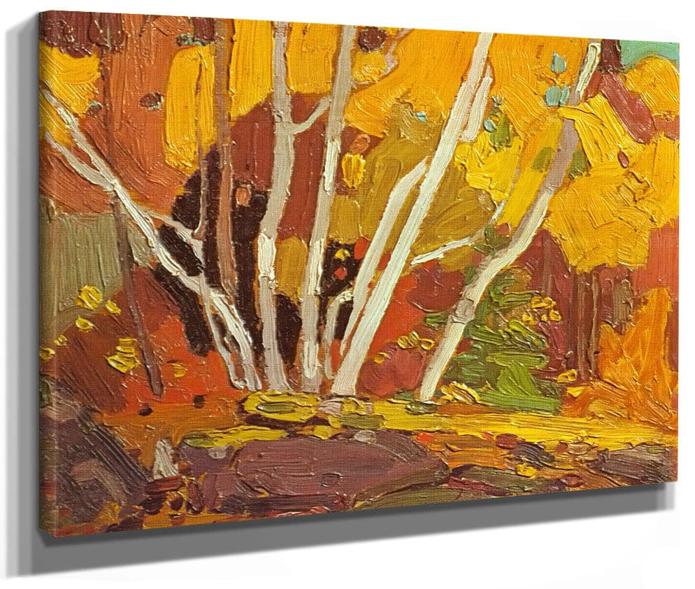 Autumn Birches By Tom Thomson