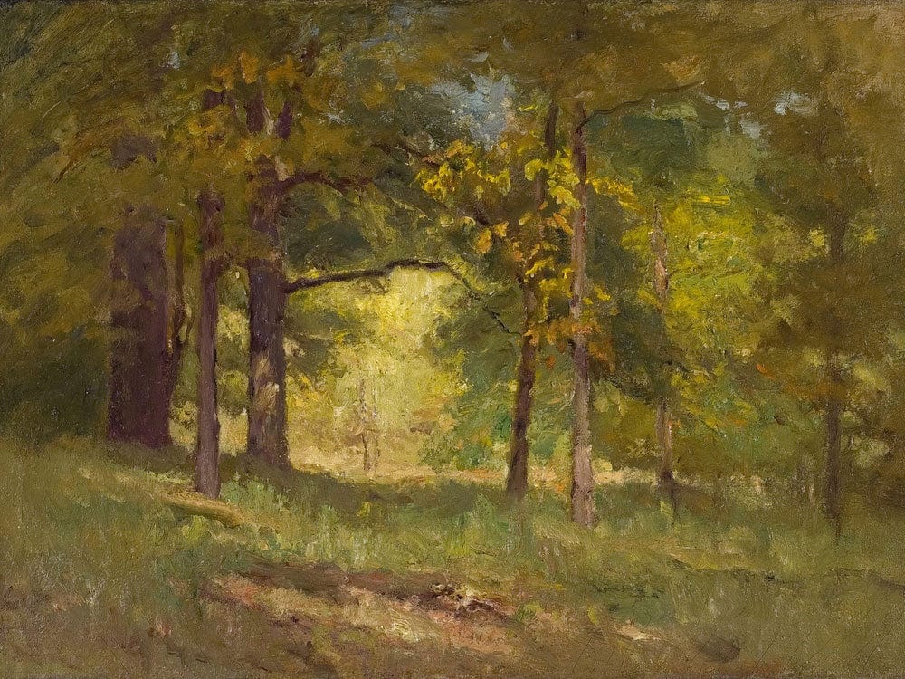Autumn Words (Forest Interiors) By Theodore Clement Steele - Image 5