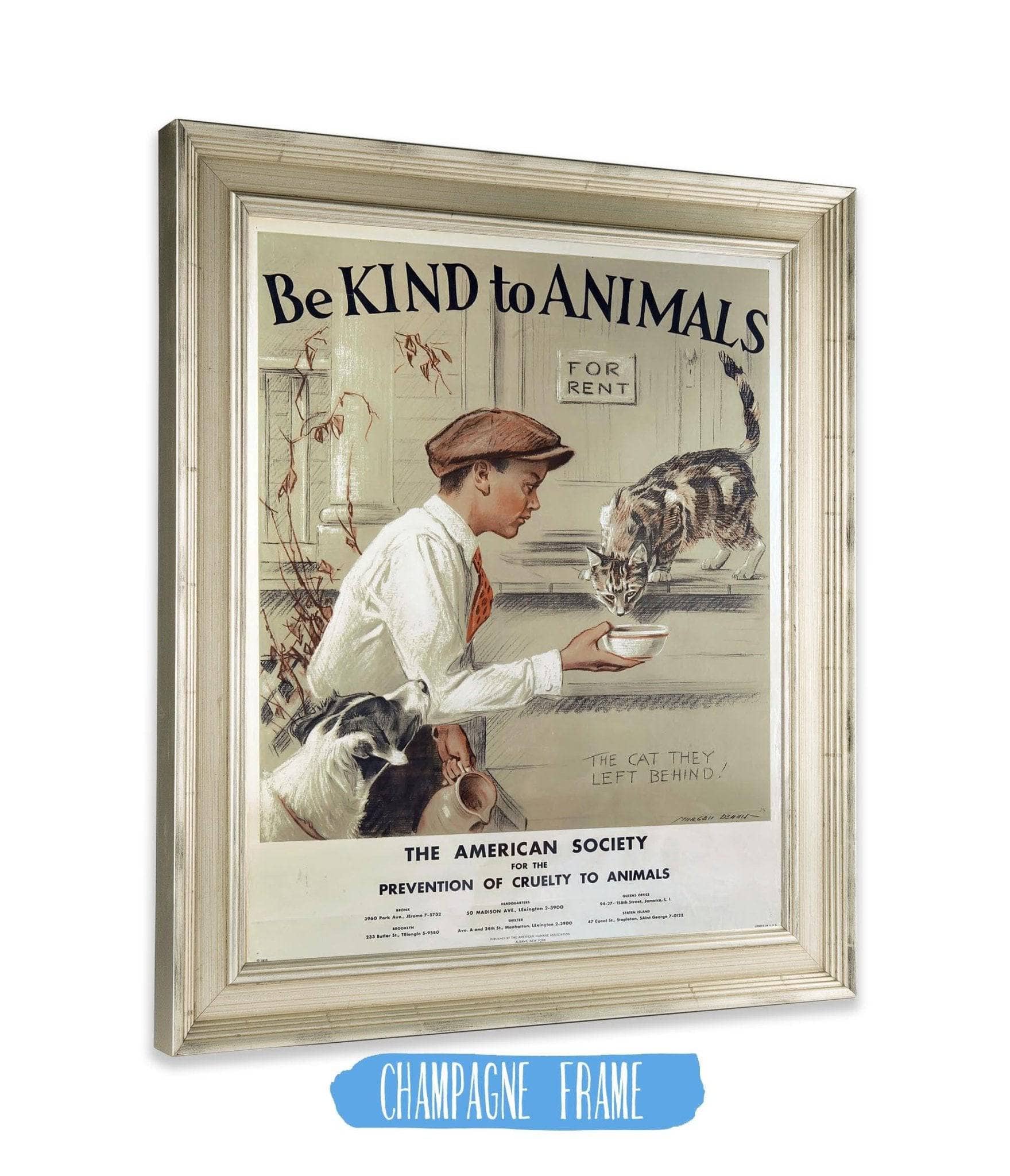 Be Kind to Animals The American Society - Image 2