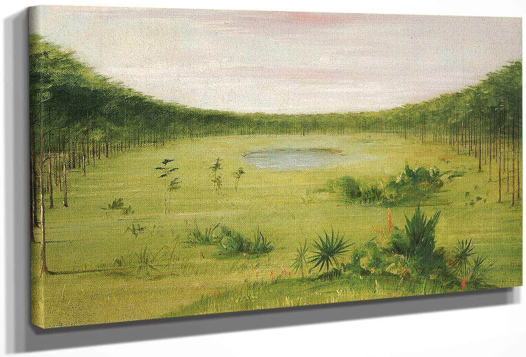 Beautiful Savannah In The Pine Woods Of Florida By George Catlin