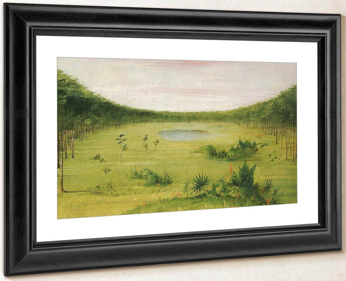 Beautiful Savannah In The Pine Woods Of Florida By George Catlin - Image 2