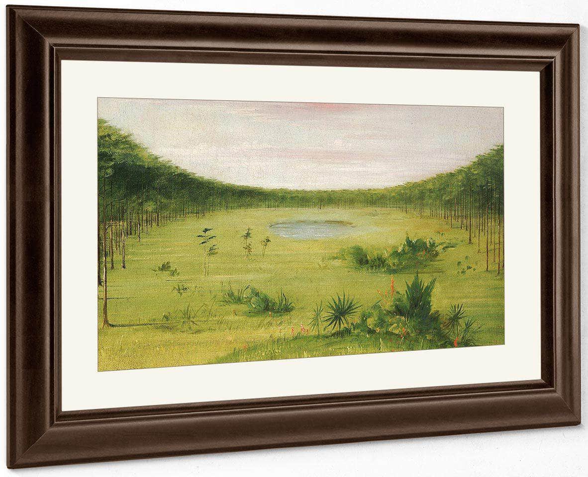 Beautiful Savannah In The Pine Woods Of Florida By George Catlin - Image 4