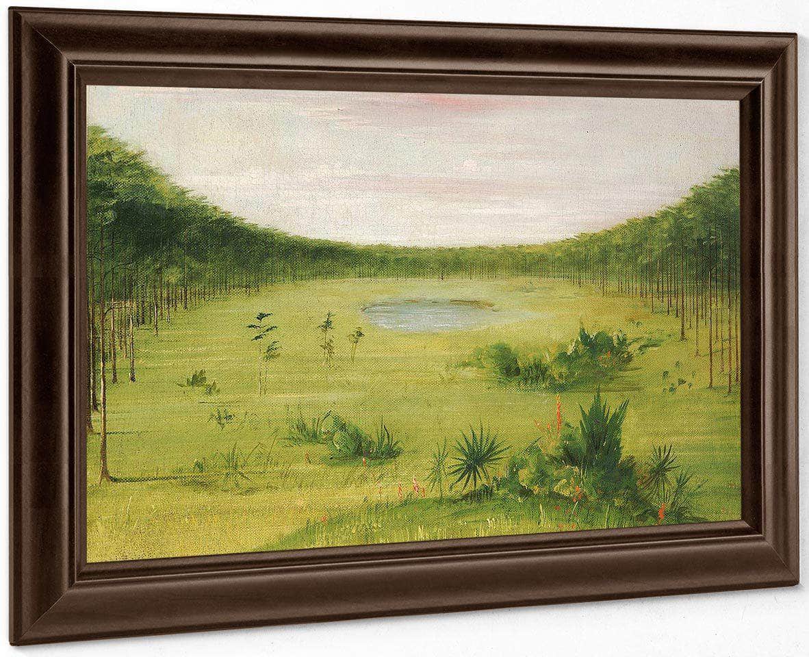 Beautiful Savannah In The Pine Woods Of Florida By George Catlin - Image 5