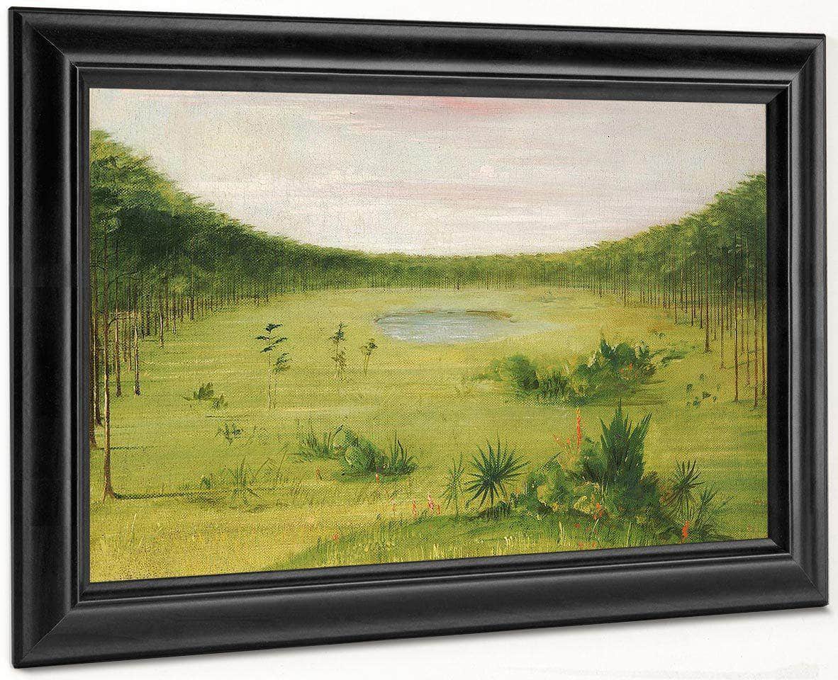 Beautiful Savannah In The Pine Woods Of Florida By George Catlin - Image 7