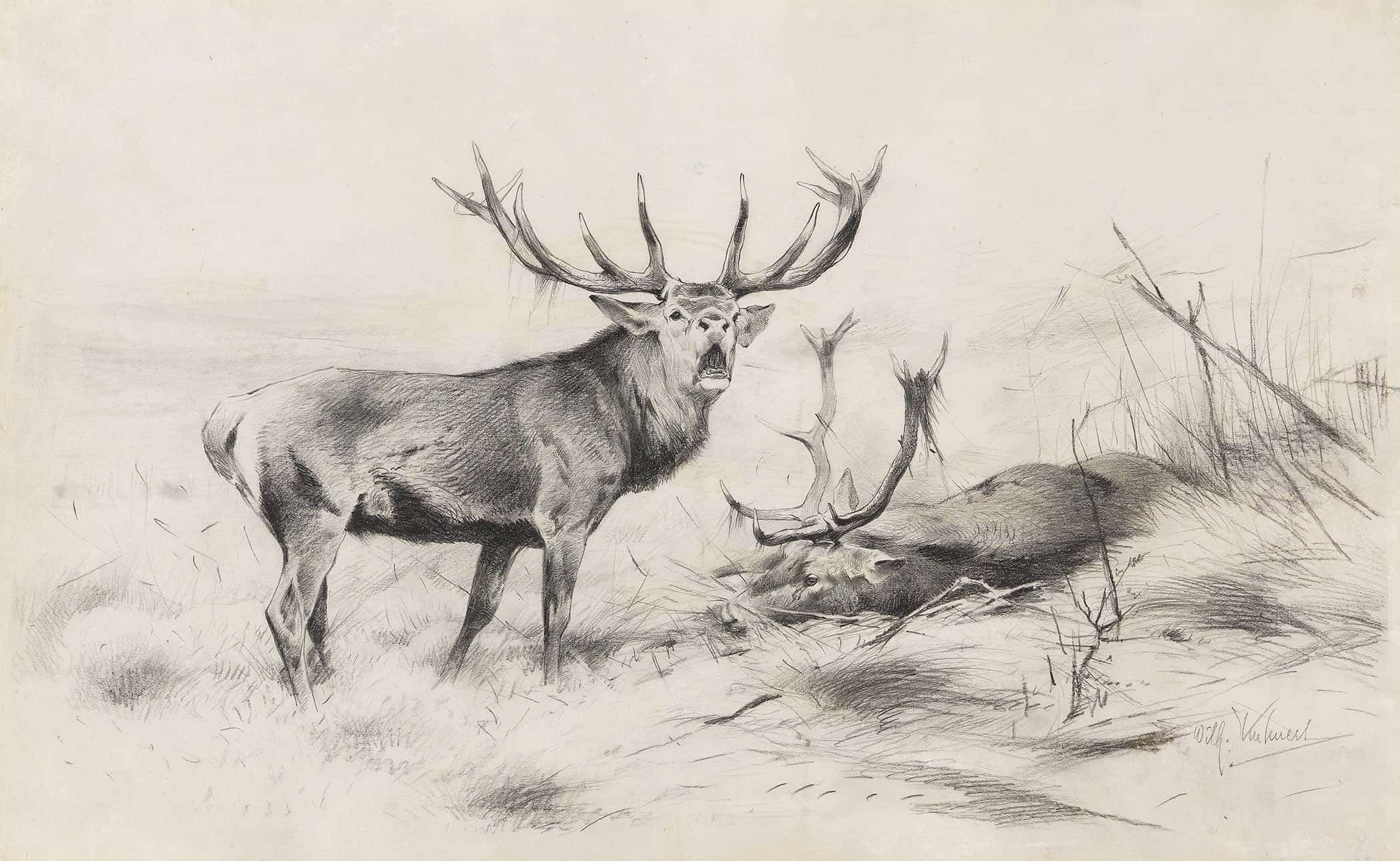 Besiegt Rothirsche by Wilhelm Kuhnert - Image 2