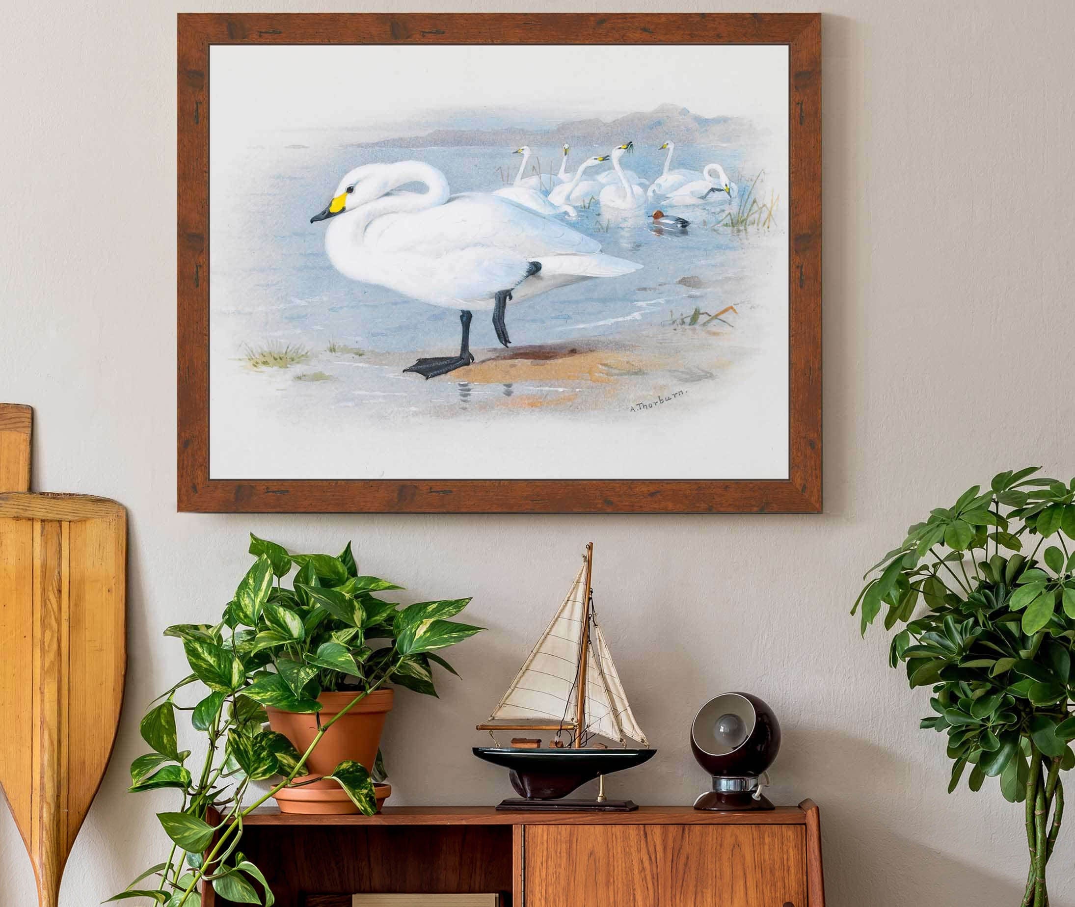 Bewicks Swan by Archibald Thorburn - Image 3