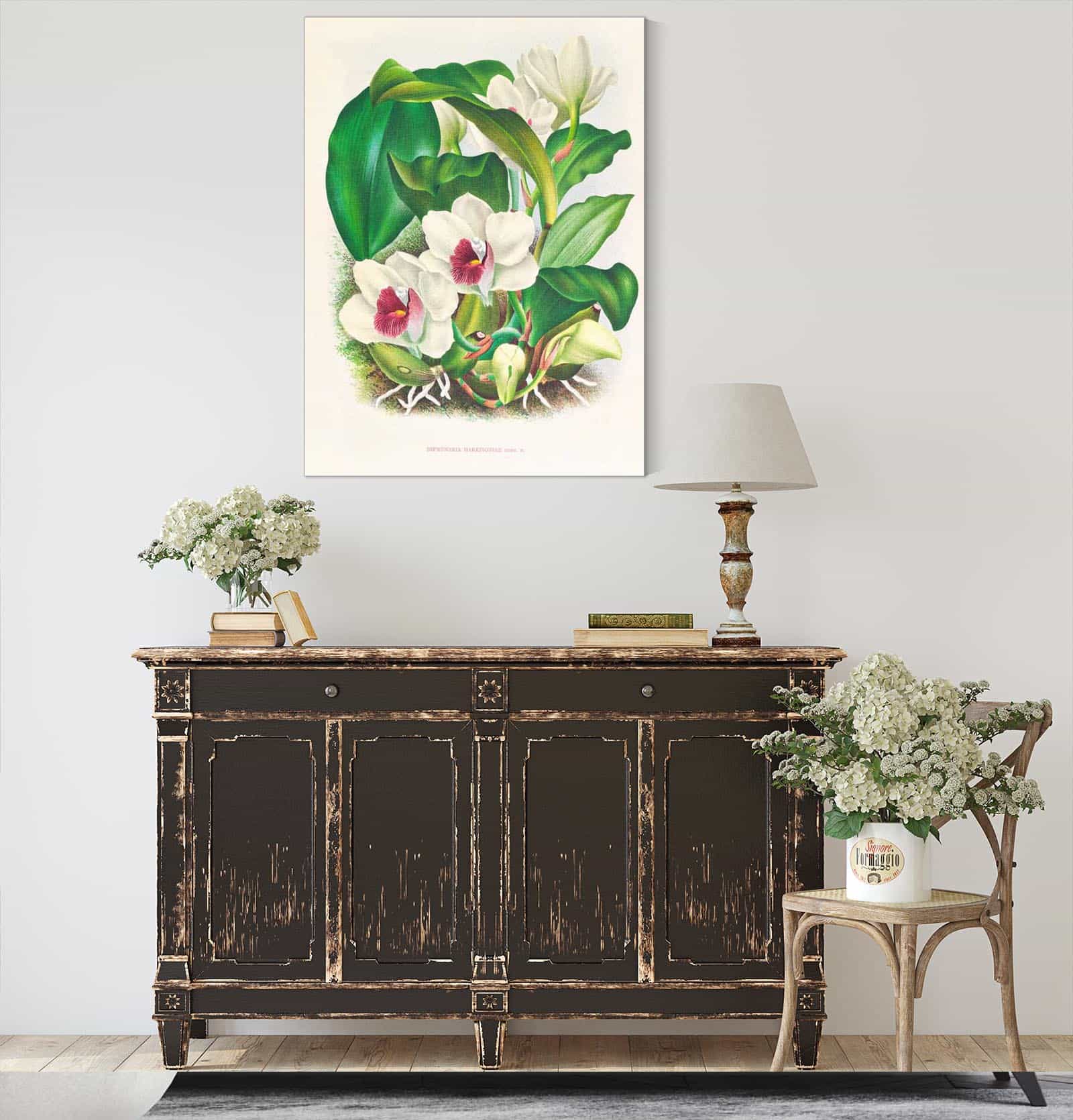 Bifrenaria Harrisoniae by Jean Jules Linden - Image 4