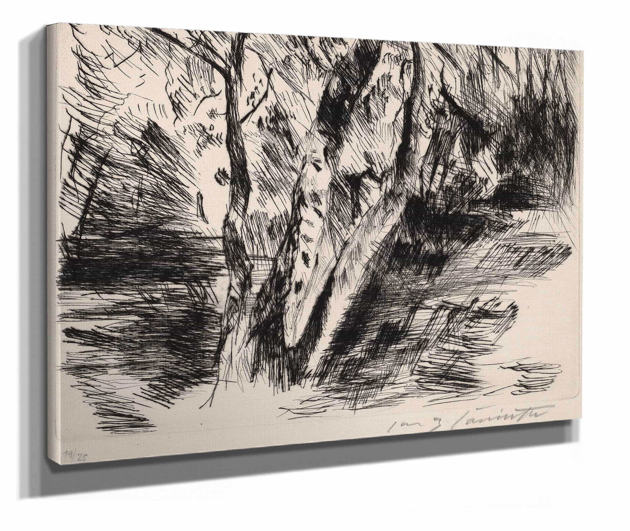 Birch Trees In The Tiergarten by Lovis Corinth - Image 2