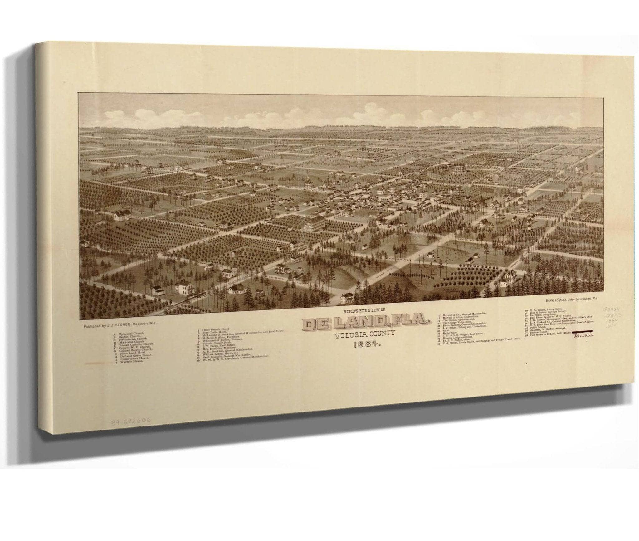Birds Eye View Of De Land Fla Volusia County 1884 State Of Florida