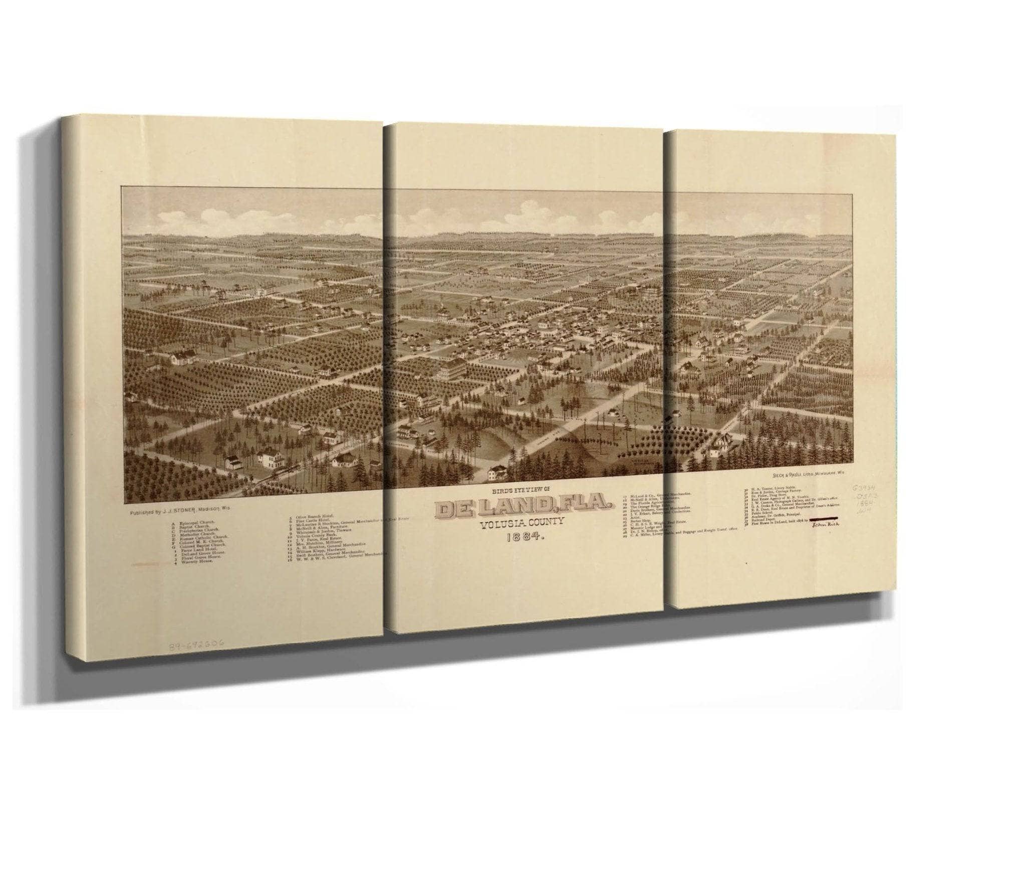 Birds Eye View Of De Land Fla Volusia County 1884 State Of Florida - Image 2