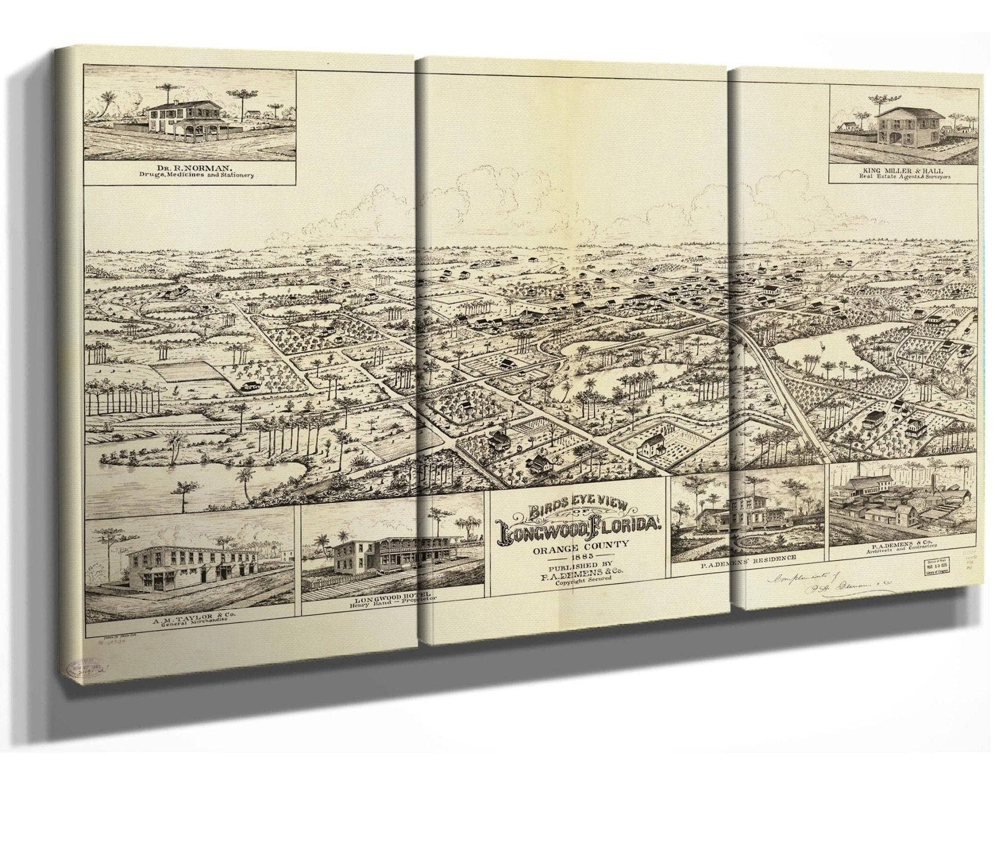Birds Eye View Of Longwood Florida Orange County 1885 State Of Florida - Image 6