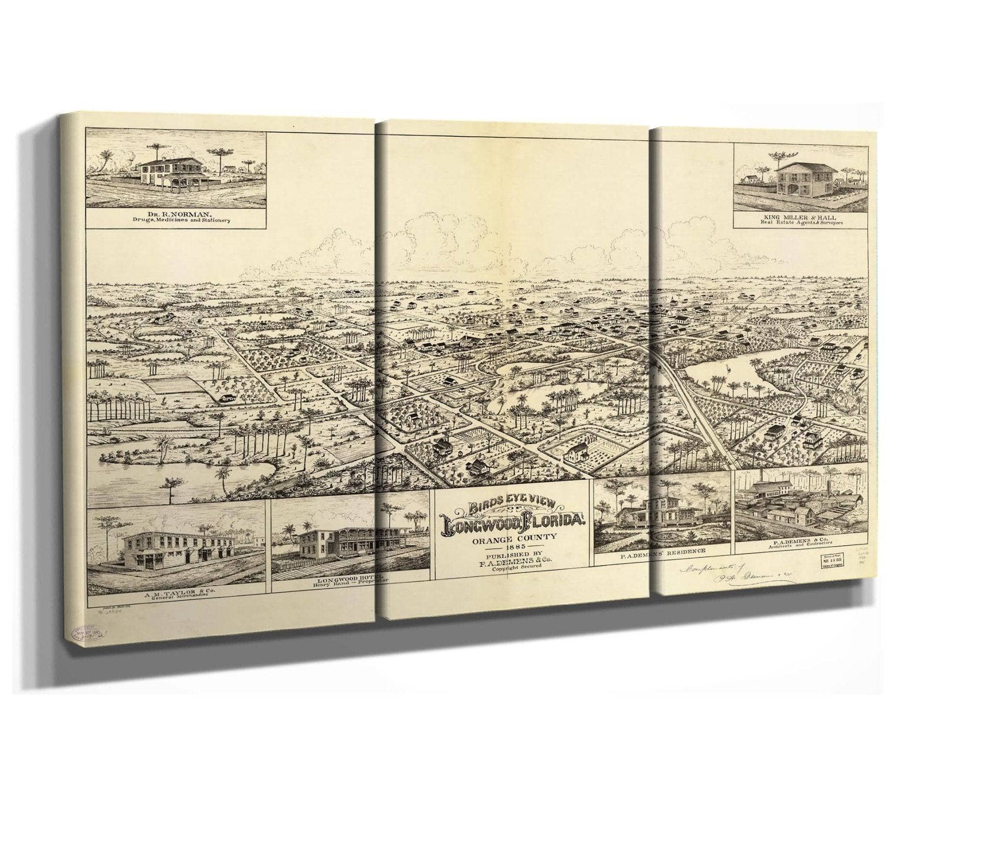 Birds Eye View Of Longwood Florida Orange County 1885 State Of Florida - Image 7