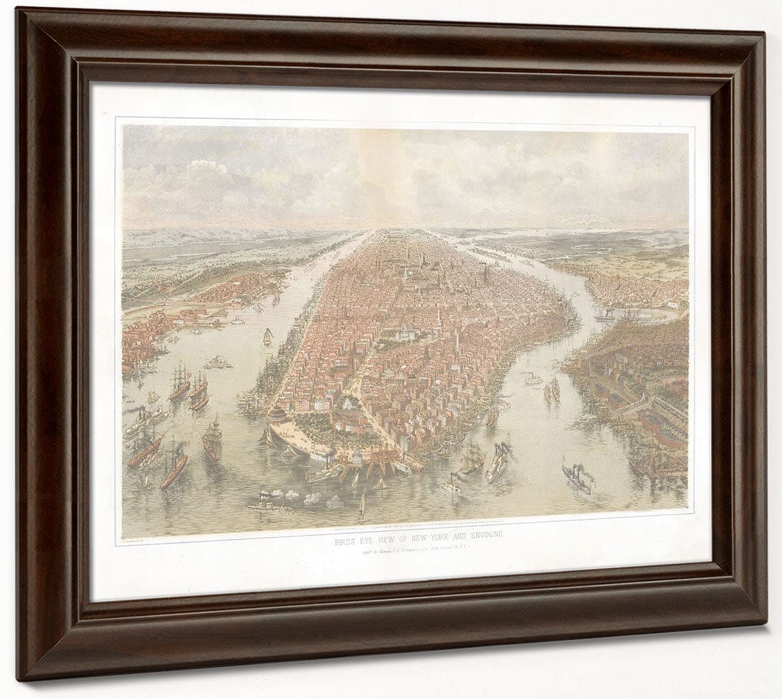 Bird's Eye View Of New York And Environs. By John Bachmann - Image 4