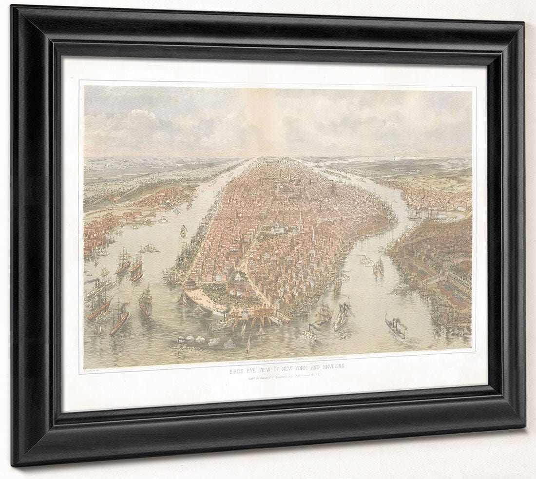 Bird's Eye View Of New York And Environs. By John Bachmann - Image 6