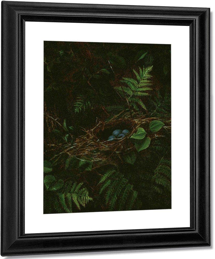 Bird's Nest And Ferns By Fidelia Bridges - Image 2