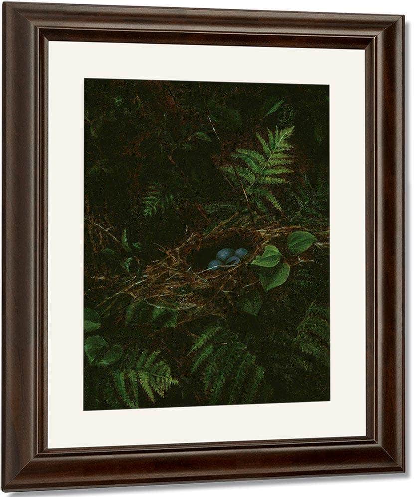 Bird's Nest And Ferns By Fidelia Bridges - Image 3