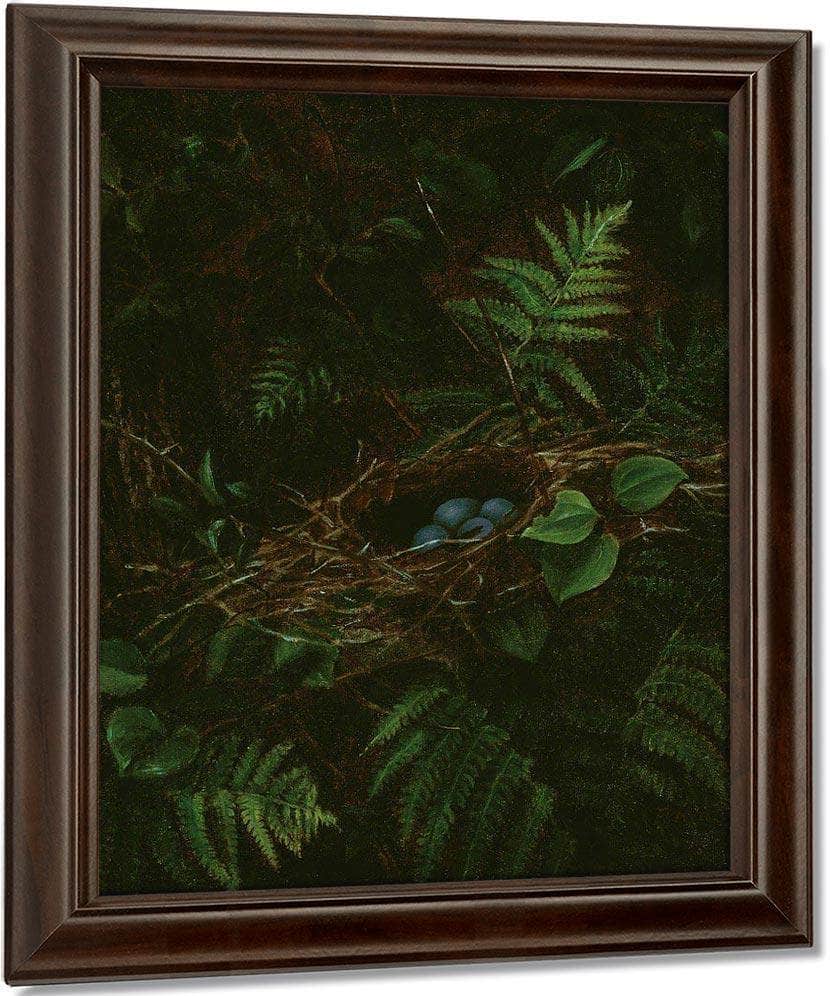 Bird's Nest And Ferns By Fidelia Bridges - Image 4