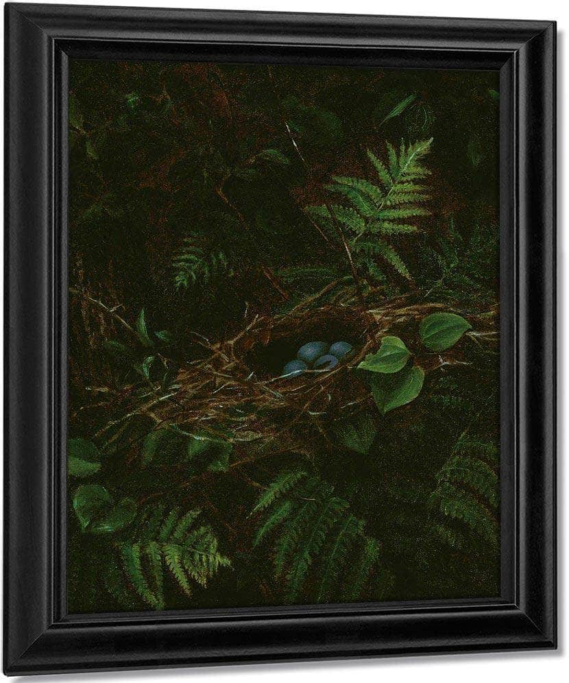 Bird's Nest And Ferns By Fidelia Bridges - Image 6