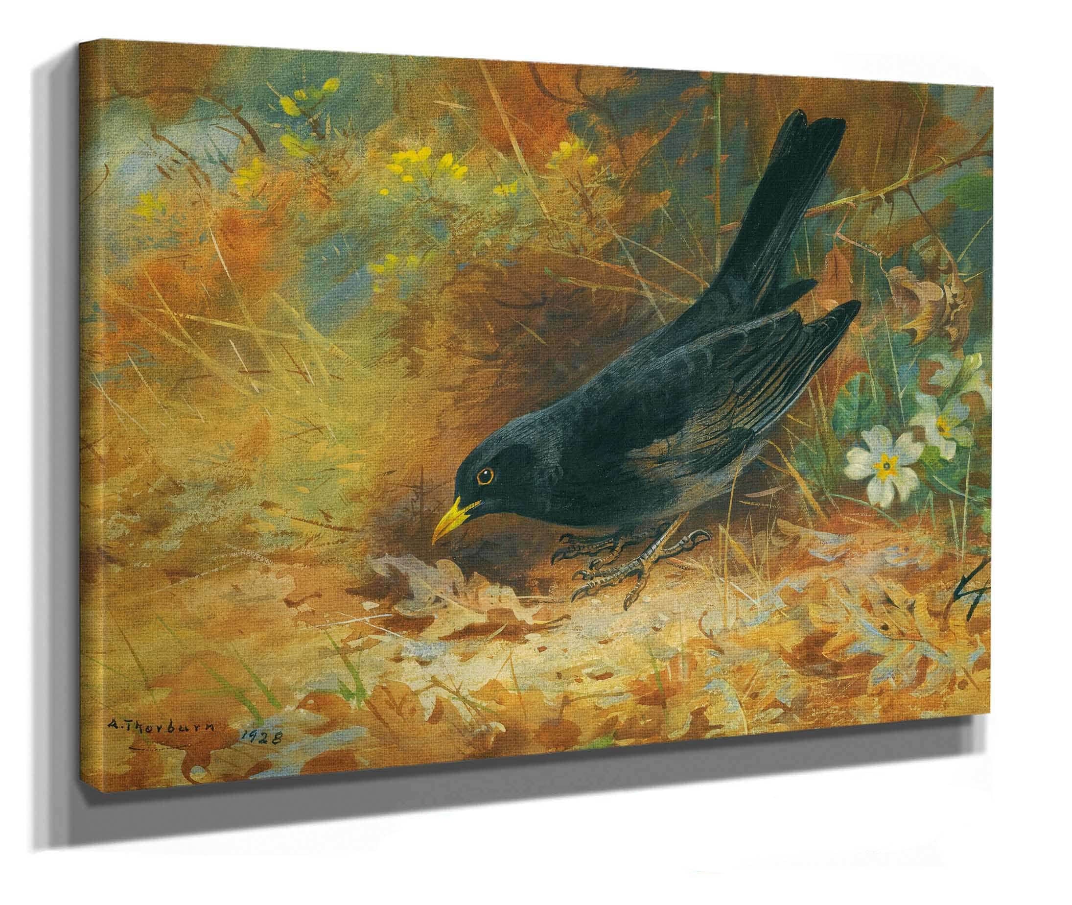 Blackbird by Archibald Thorburn - Image 2
