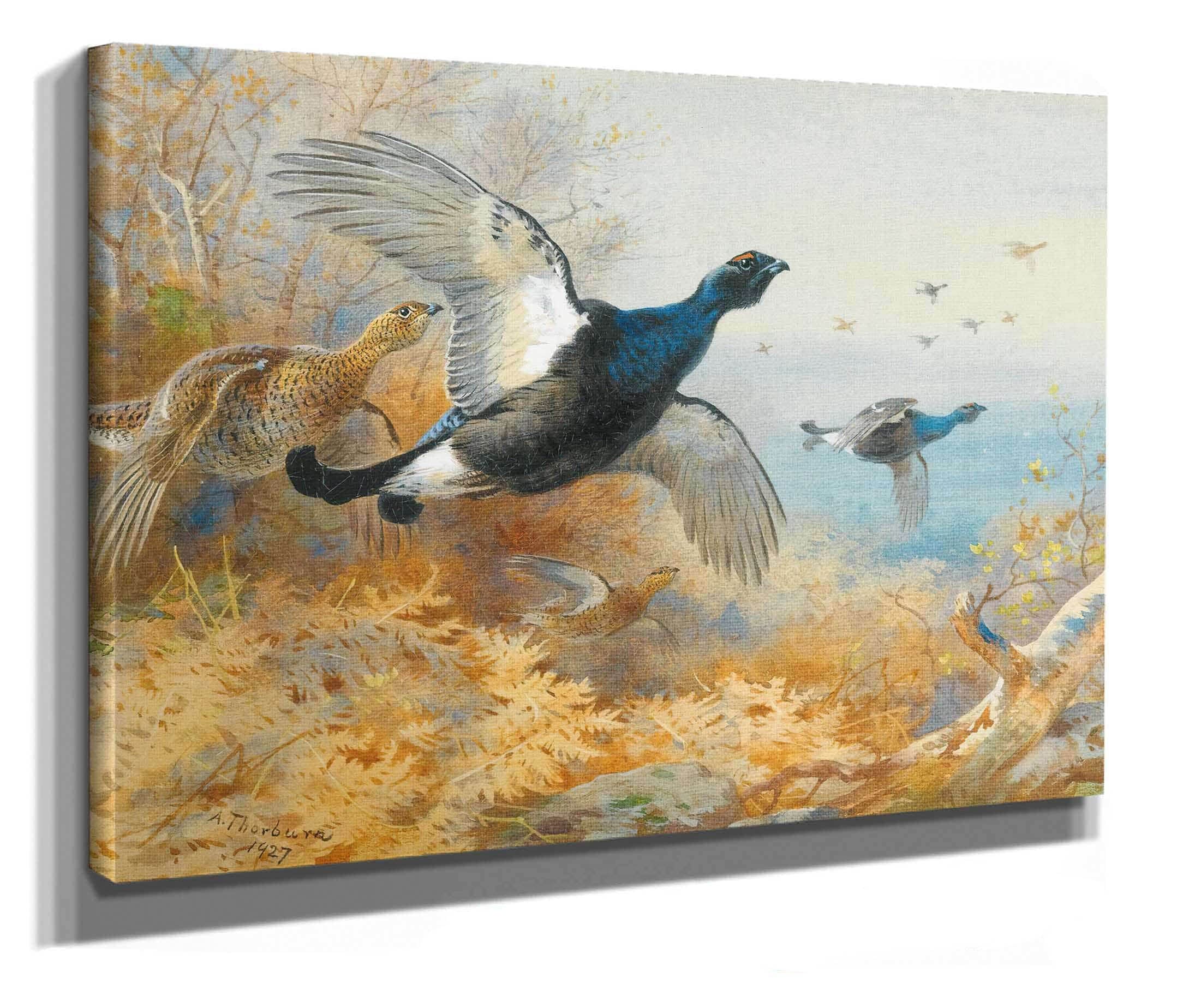 Blackcock Forward by Archibald Thorburn - Image 2