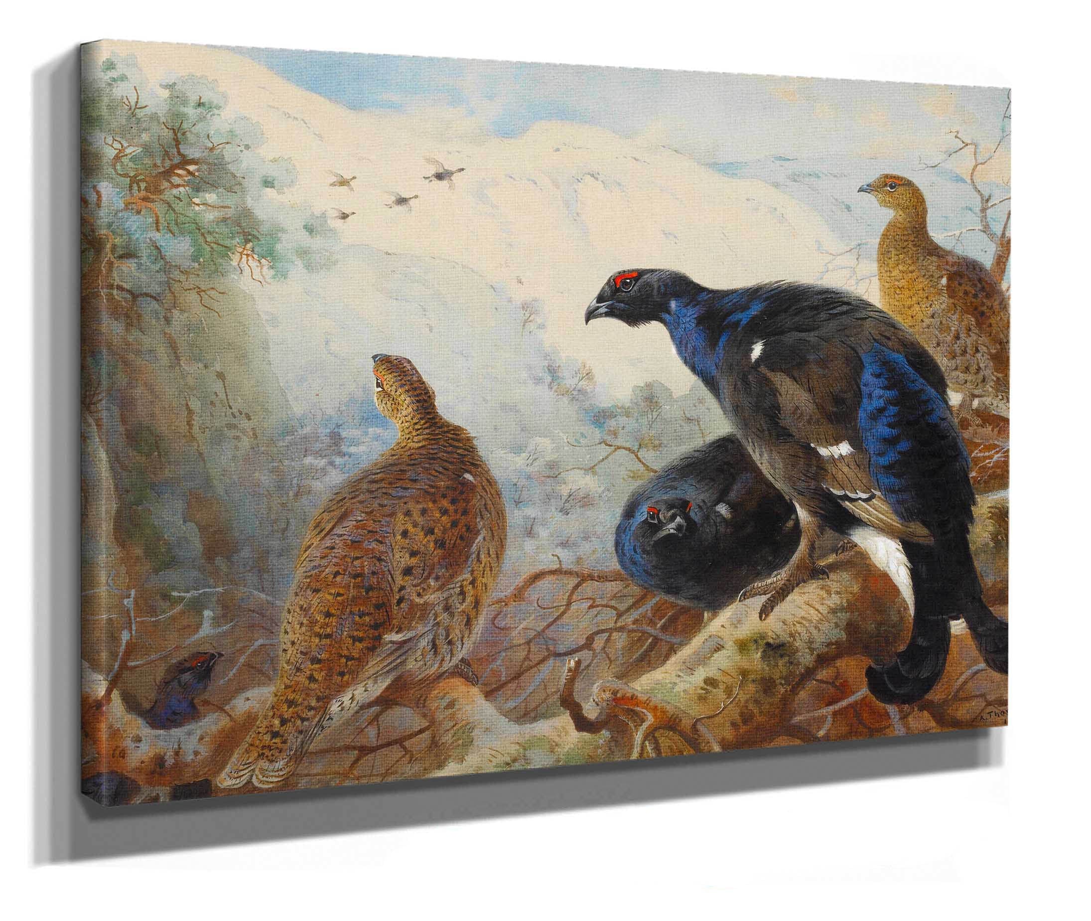 Blackgame by Archibald Thorburn - Image 2
